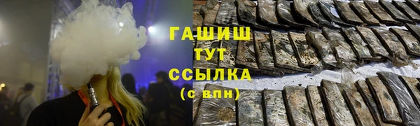 стаф Богданович