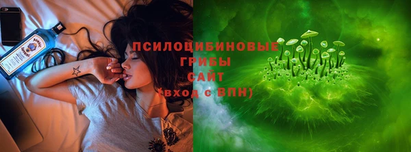 хмурый Чегем