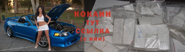стаф Богданович