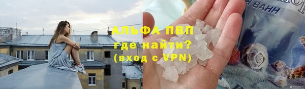 стаф Богданович