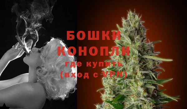 хмурый Богородск