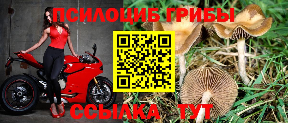 Галлюциногенные грибы ЛСД Рыбинск