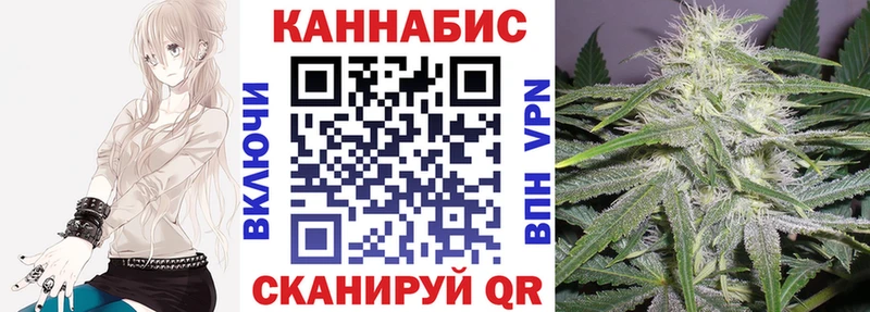 наркота  Рыбинск  Конопля сатива 